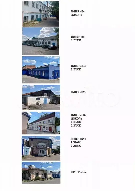 Помещение свободного назначения в Курская область, Курск ул. Пионеров, ... - Фото 1