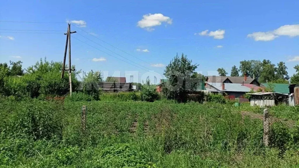 Участок в Новосибирская область, Новосибирский район, с. Боровое ул. ... - Фото 0