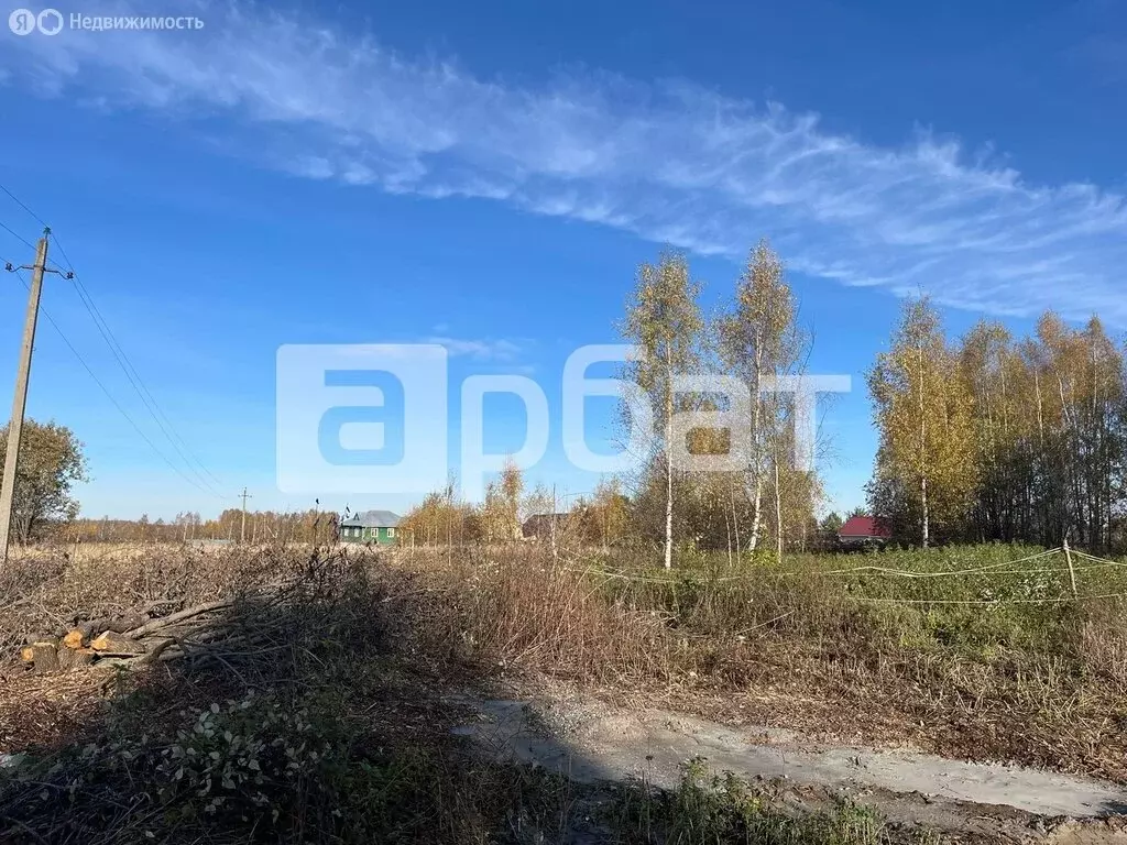 Участок в Костромской район, Шунгенское сельское поселение, село Шунга ... - Фото 1