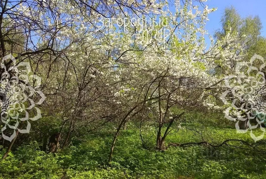 Участок в Московская область, Балашиха Салтыковка мкр, Октябрьская ул. ... - Фото 2