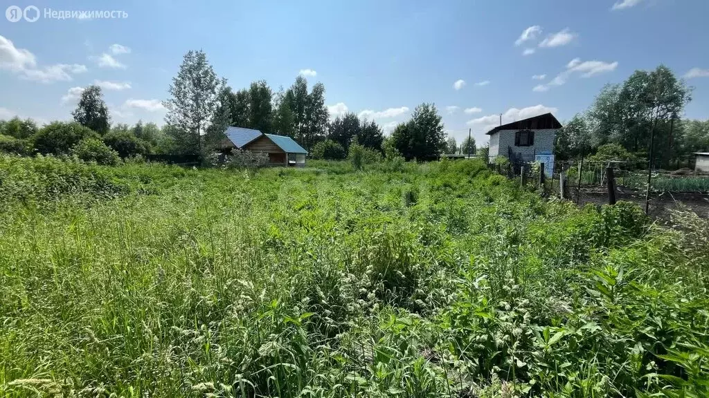 Участок в Майма, улица Ленина (5.43 м) - Фото 0