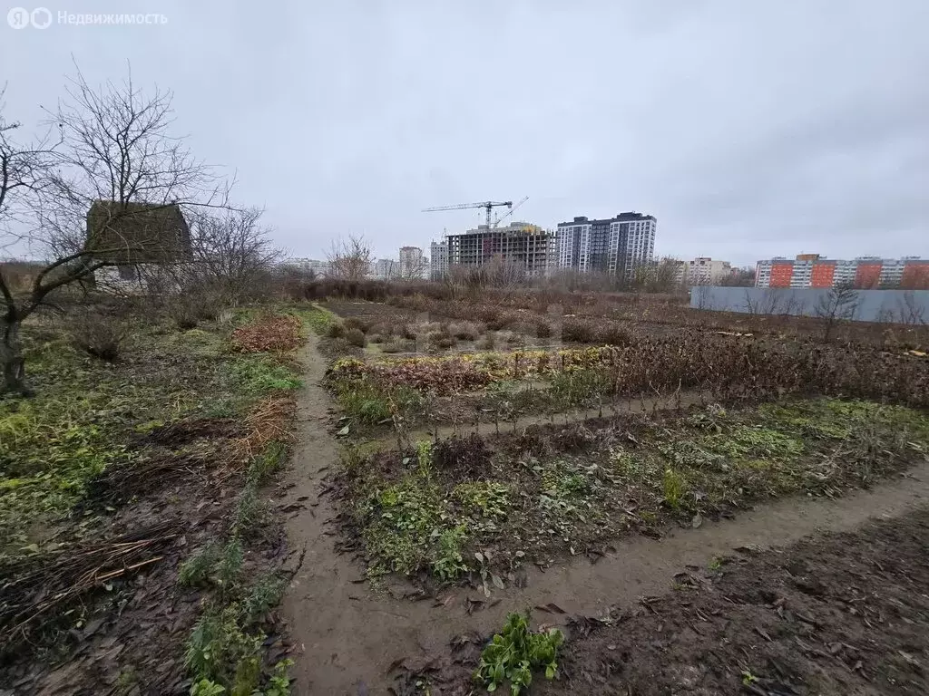 Участок в Путёвка, территория садоводческого общества Снежка (8 м) - Фото 1