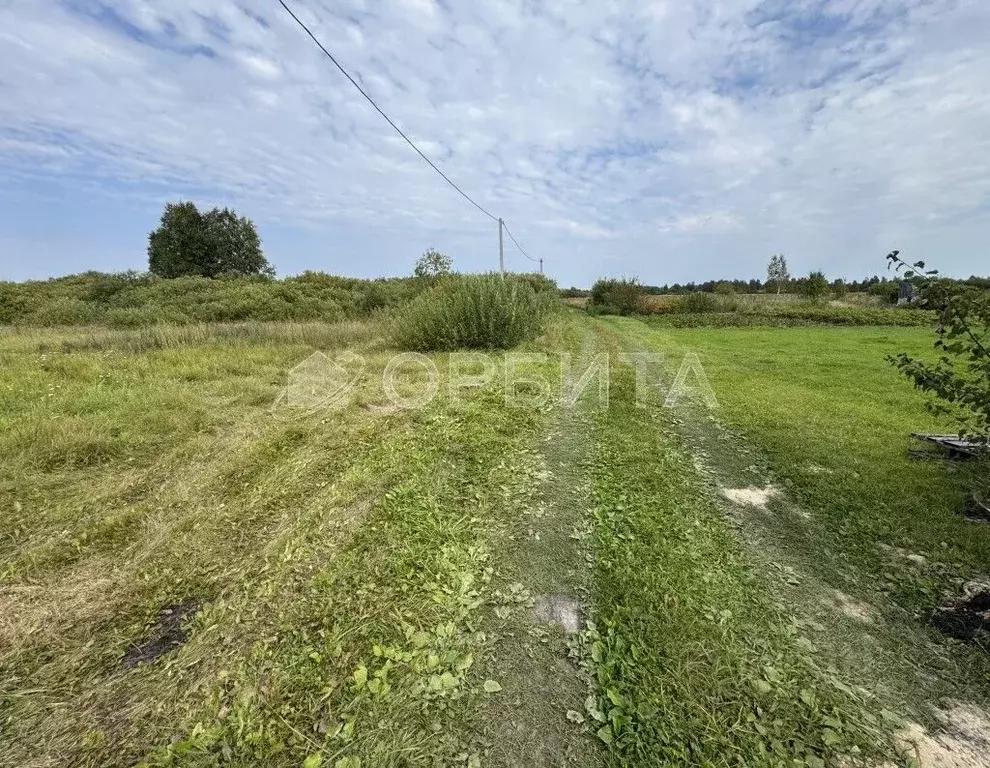 Участок в Тюменская область, Тюменский муниципальный округ, ... - Фото 1