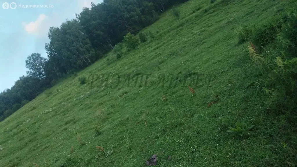 Участок в село Бирюля, Центральная улица (14 м) - Фото 0