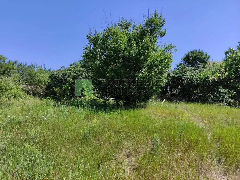 Участок в Краснодарский край, Новороссийск городской округ, Убых хут. ... - Фото 2