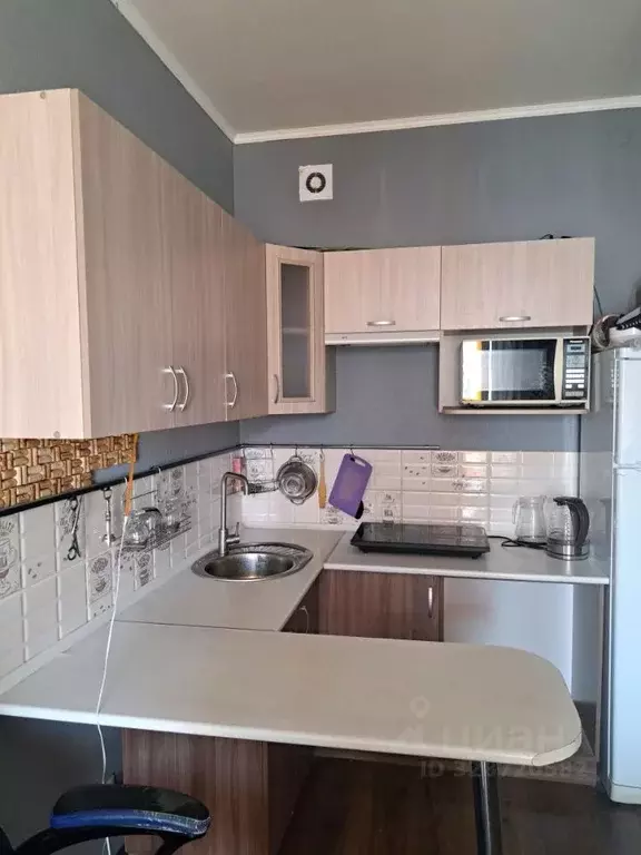 Студия Санкт-Петербург ул. Плесецкая, 16 (24.6 м) - Фото 1