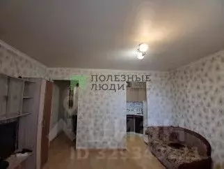 Студия Забайкальский край, Чита ул. Серова, 30 (29.7 м) - Фото 2
