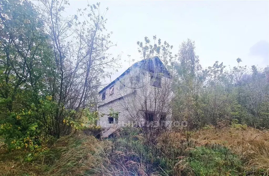 Участок в Рязанская область, Скопинский район, с. Горлово ... - Фото 1