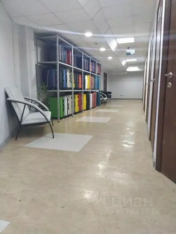 Торговая площадь в Новосибирская область, Новосибирск ул. Писарева, ... - Фото 1