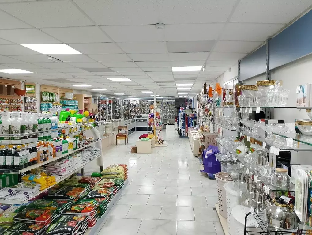 Помещение свободного назначения в Владимирская область, Владимир ... - Фото 2