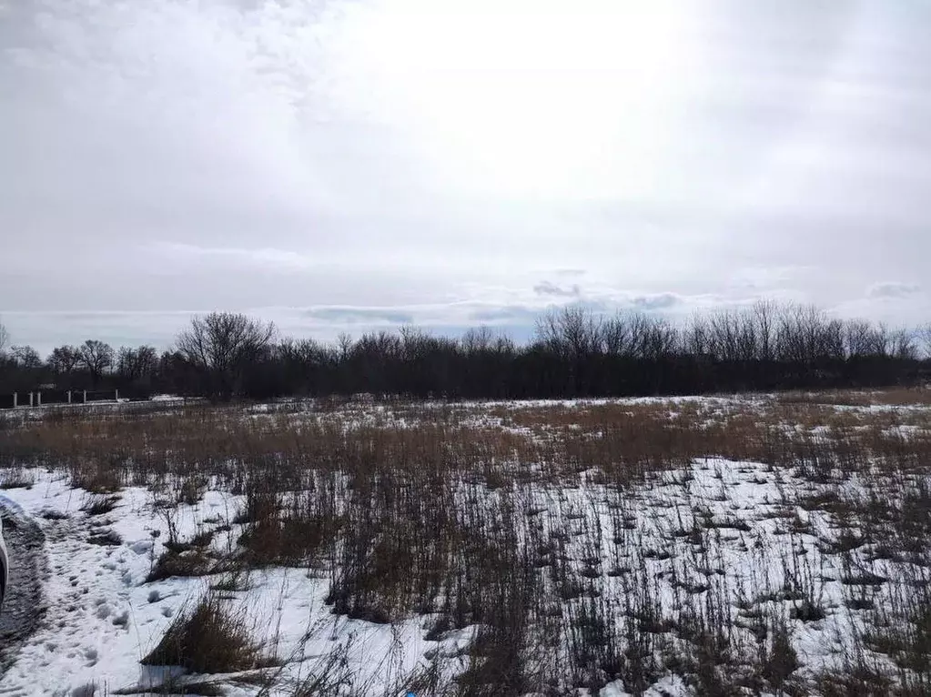 Участок в Воронежская область, Новоусманский район, Хреновское с/пос, ... - Фото 1