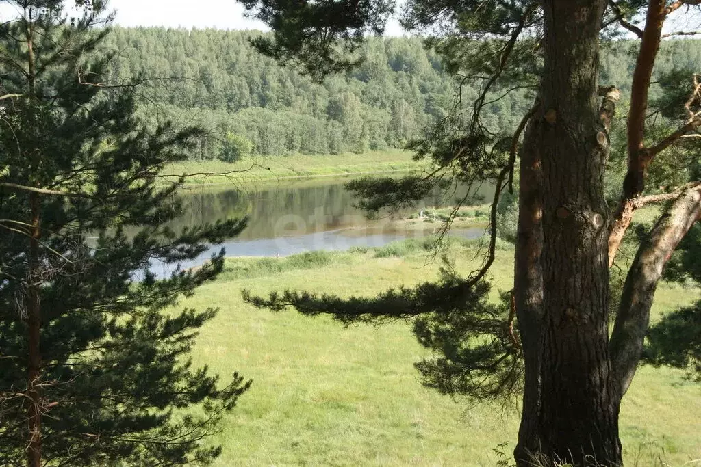 Дом в деревня Брычево, Октябрьская улица, 1 (100 м) - Фото 1