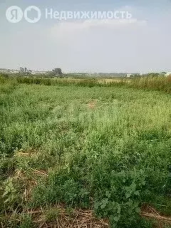 Участок в Тюменская область, Ишимский муниципальный округ, садовое ... - Фото 2