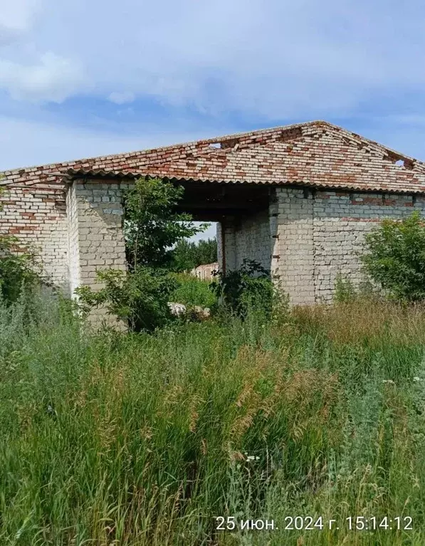 Участок в Воронежская область, Новоусманский район, с. Рогачевка  (5.0 ... - Фото 0