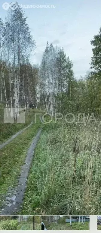Участок в Новолуговской сельсовет, СНТ Энергия-5, 246 (7 м) - Фото 1