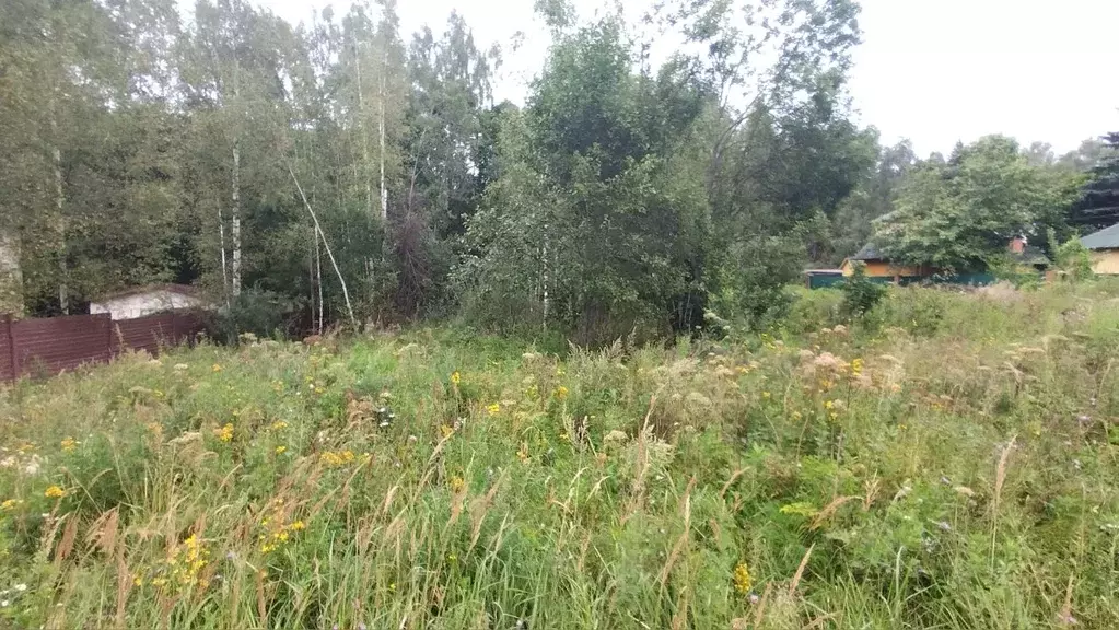 Участок в Московская область, Солнечногорск городской округ, д. ... - Фото 1