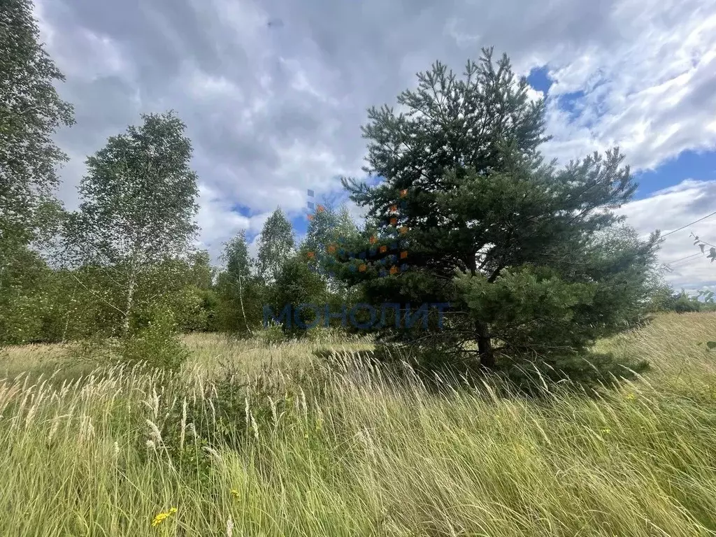 Участок в Тульская область, Ясногорский район, Иваньковское с/пос, д. ... - Фото 1