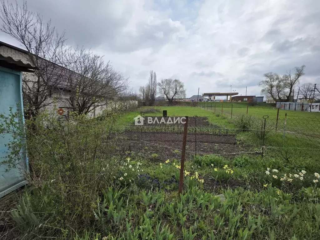 Участок в Белгородская область, Белгородский район, с. Стрелецкое ... - Фото 2