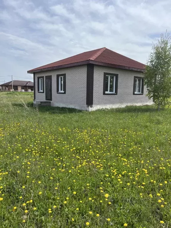 Дом в Новосибирская область, Новосибирский район, Морской сельсовет, ... - Фото 0