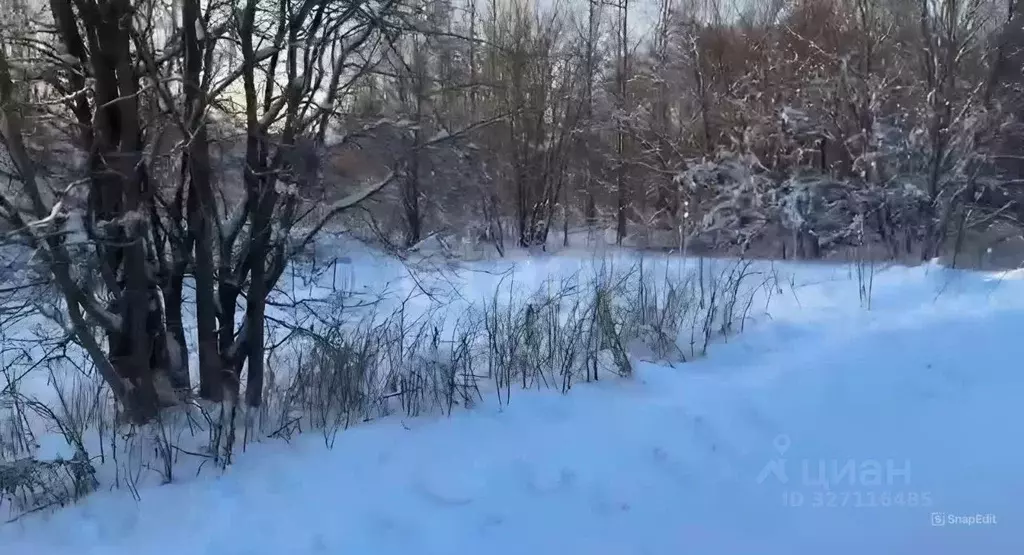 Участок в Архангельская область, Приморский муниципальный округ, ... - Фото 1