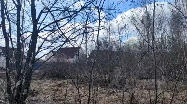 Участок в Московская область, Щелково городской округ, д. Мишнево  ... - Фото 1
