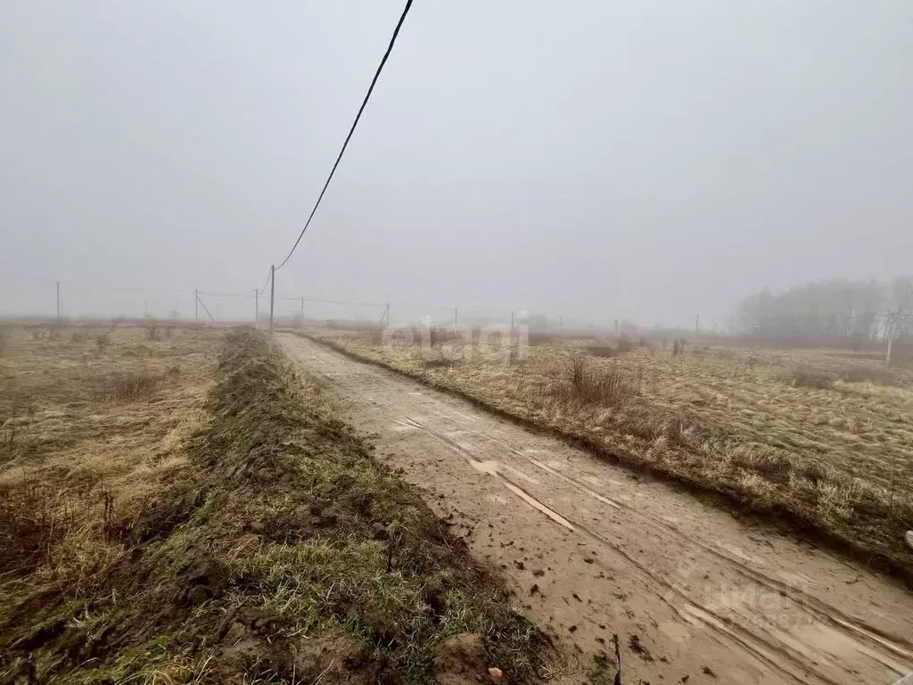 Участок в Калининградская область, Гурьевский муниципальный округ, ... - Фото 0