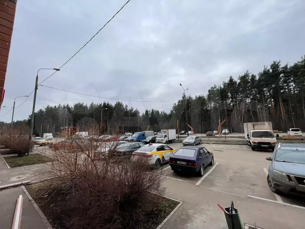 Сдам помещение свободного назначения, 80.52 м - Фото 1