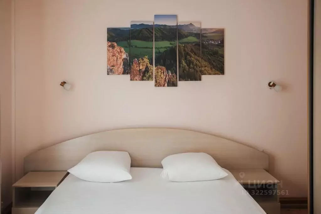 Комната Алтай, Чемальский район, с. Чемал Уожанская ул., 58 (33.0 м) - Фото 2