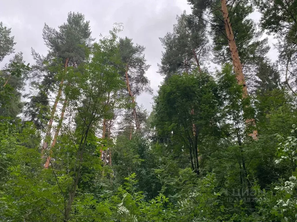 Участок в Московская область, Звенигород Одинцовский городской округ, ... - Фото 1