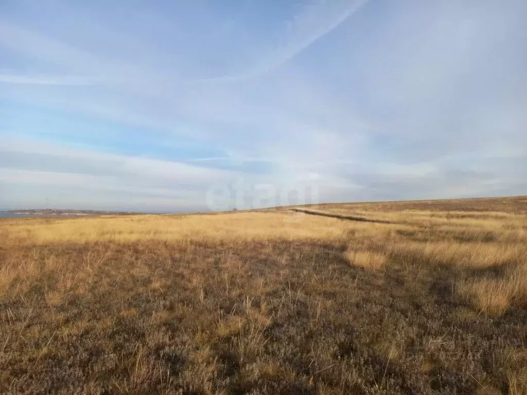 Участок в Крым, Ленинский район, с. Калиновка ул. Шевченко (6.3 сот.) - Фото 1