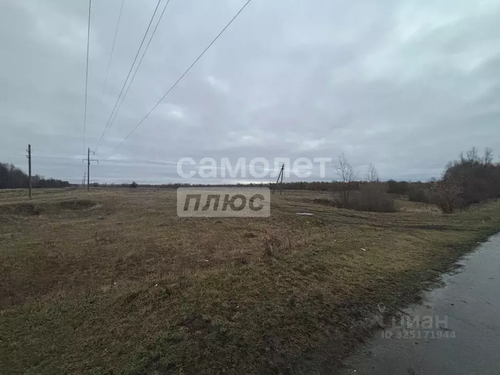 Участок в Курская область, Курский район, Шумаковский сельсовет, д. ... - Фото 2