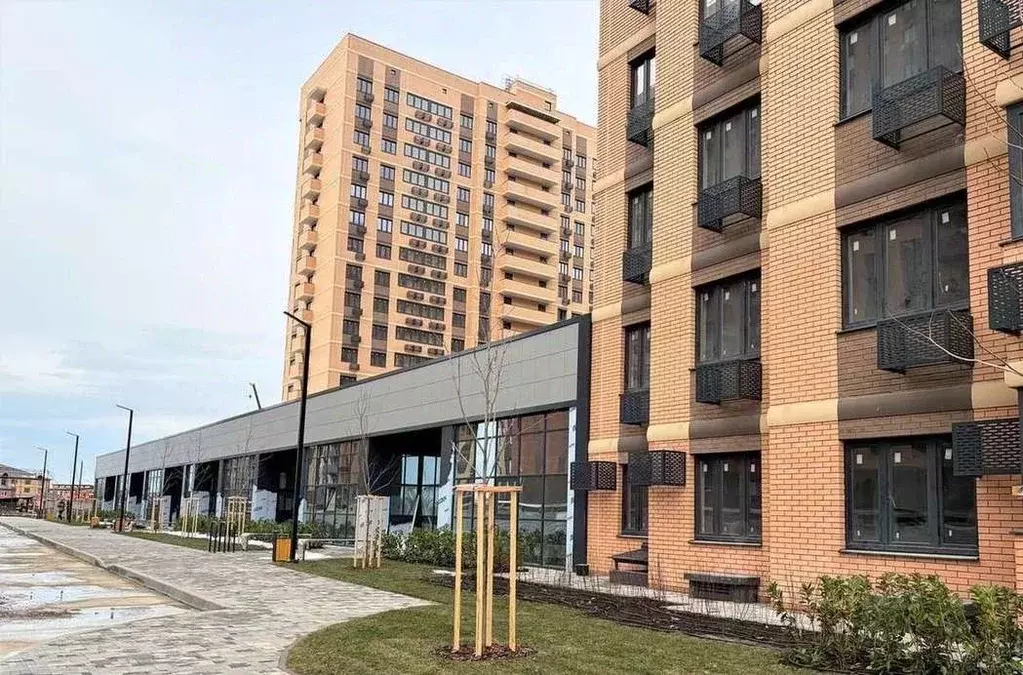 Офис в Краснодарский край, Краснодар ул. Имени Владимира Жириновского, ... - Фото 2