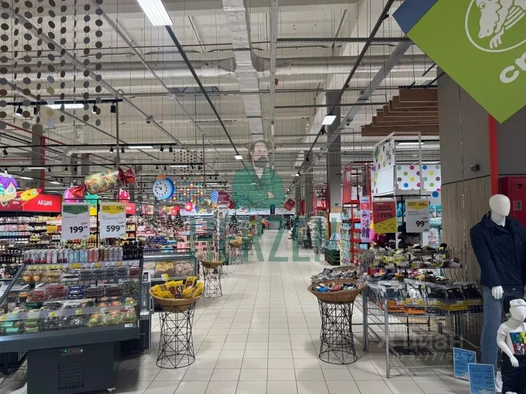 Склад в Московская область, Красногорск городской округ, Отрадное пгт ... - Фото 2