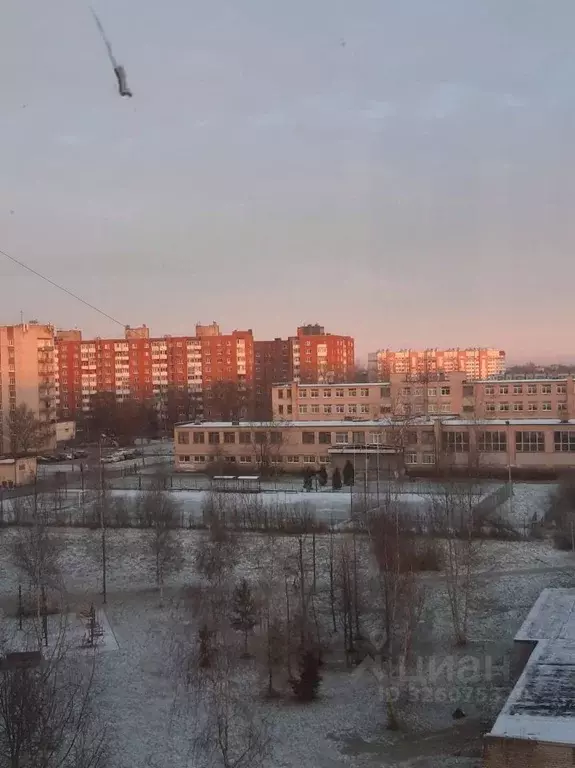 3-к кв. Ленинградская область, Коммунар г. Гатчинский муниципальный ... - Фото 2