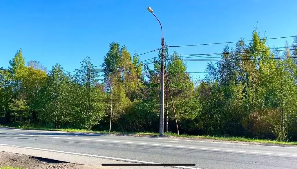 Участок в Санкт-Петербург, Санкт-Петербург, Зеленогорск Выборгский ... - Фото 1