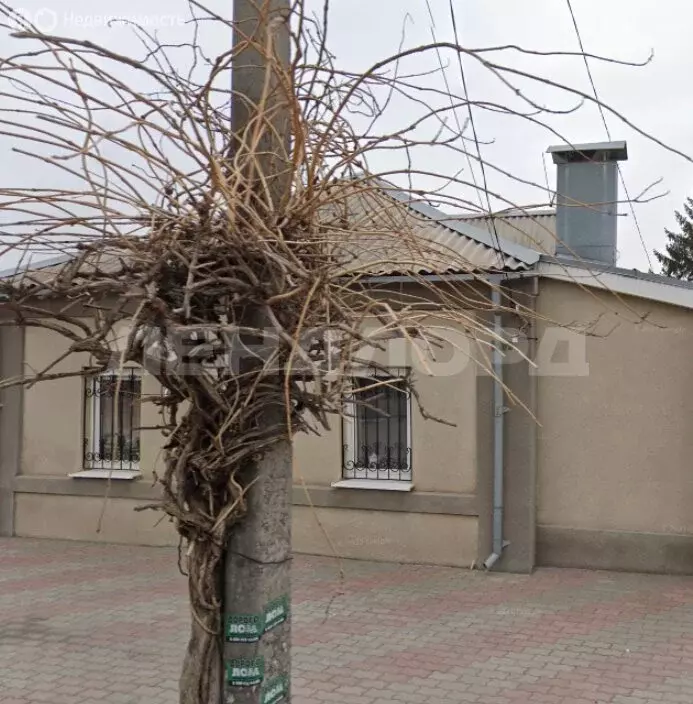 1-комнатная квартира: Ростов-на-Дону, микрорайон Ленгородок, улица ... - Фото 0