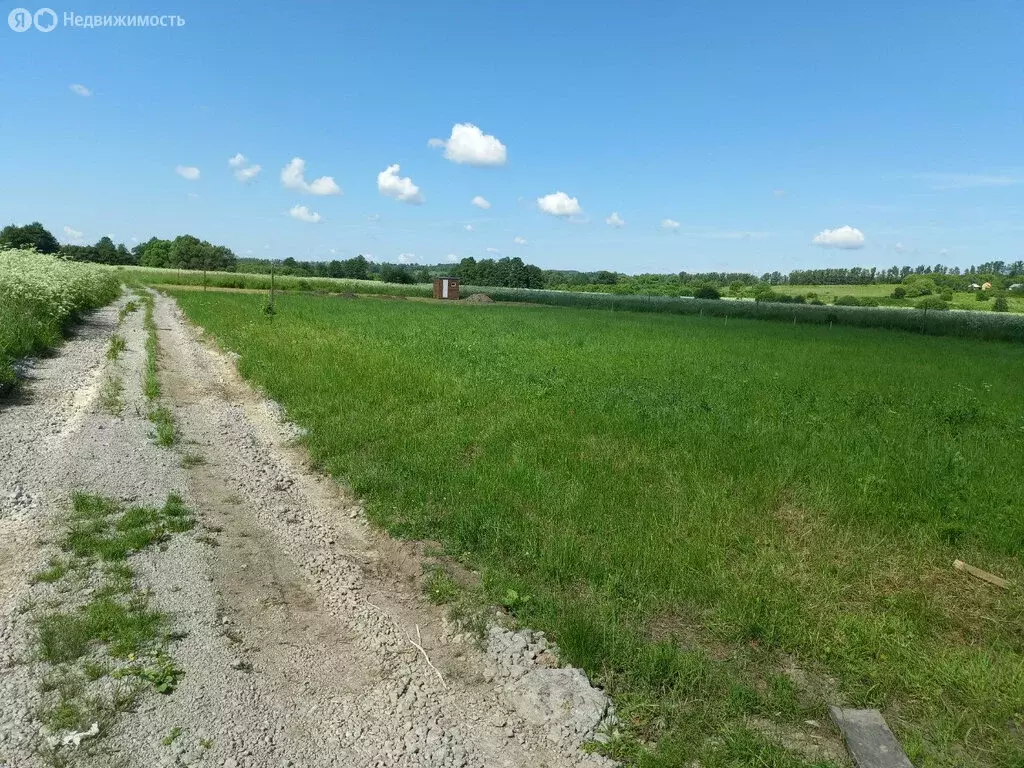 Участок в Тульская область, городской округ Тула, деревня Новая ... - Фото 0