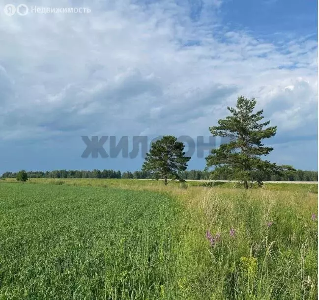 Участок в село Сосновка, Сосновская улица (10 м) - Фото 0