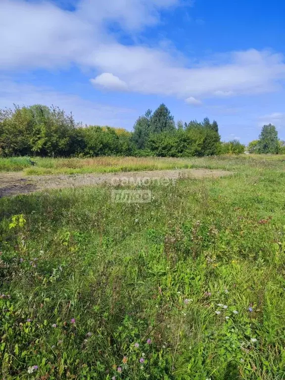 Участок в Липецкая область, Грязинский муниципальный округ, с. ... - Фото 1