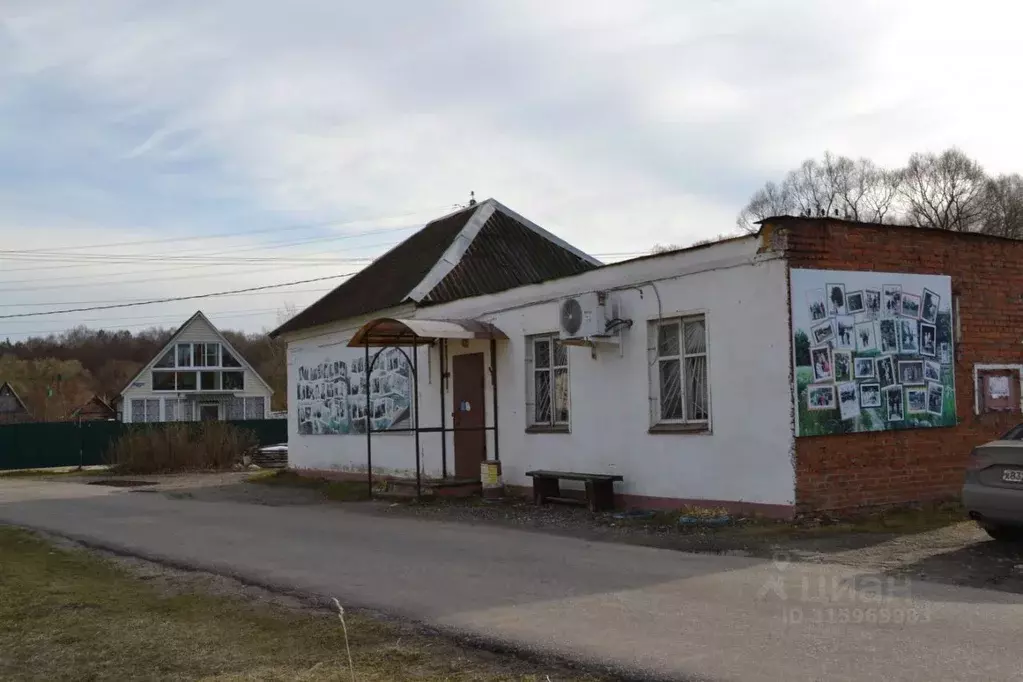 Торговая площадь в Московская область, Воскресенск городской округ, д. ... - Фото 0