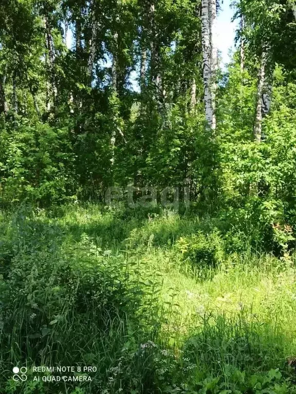 Участок в Новосибирская область, Новосибирск Заречный СНТ, аллея 1-я ... - Фото 1