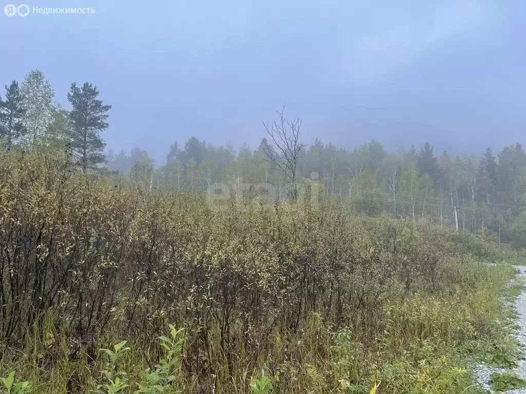 Участок в Манжерокское сельское поселение, село Озёрное (10 м) - Фото 2