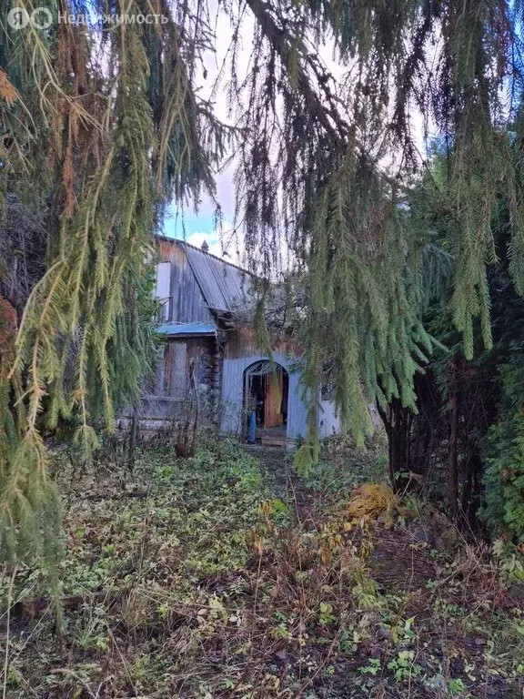 Дом в Ивановское сельское поселение, деревня Лучки (54 м) - Фото 1