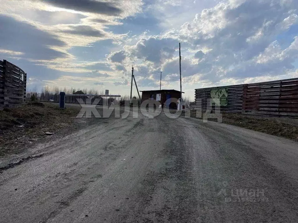 Участок в Новосибирская область, Мошковский район, Индия кп, ... - Фото 1