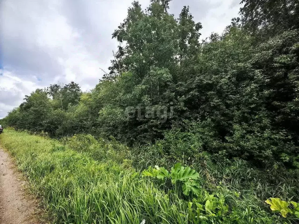 Участок в Ленинградская область, Волхов  (11.7 сот.) - Фото 0