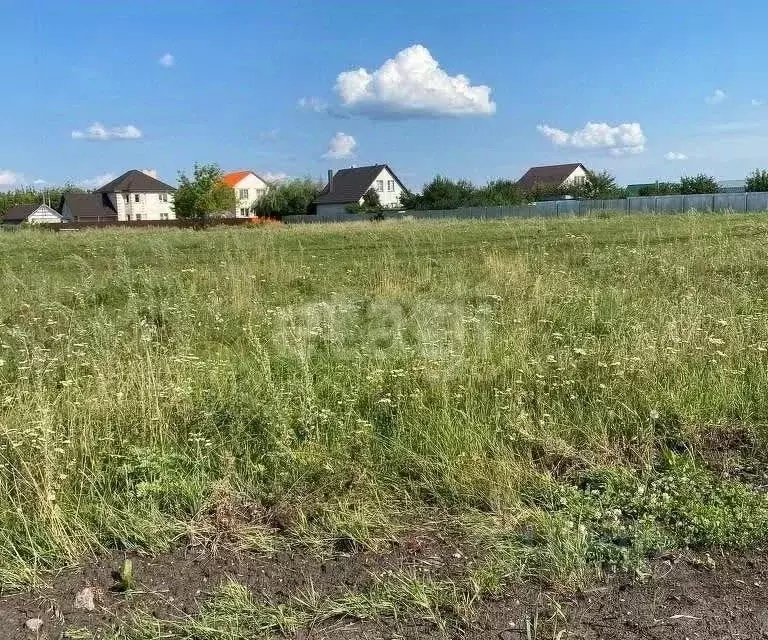 Участок в Тамбовская область, Тамбовский муниципальный округ, с. ... - Фото 2