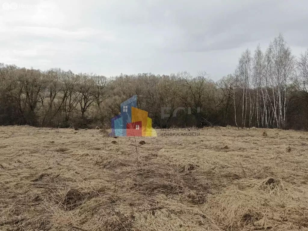 Участок в Тульская область, городской округ Тула, деревня Горюшино, ... - Фото 2