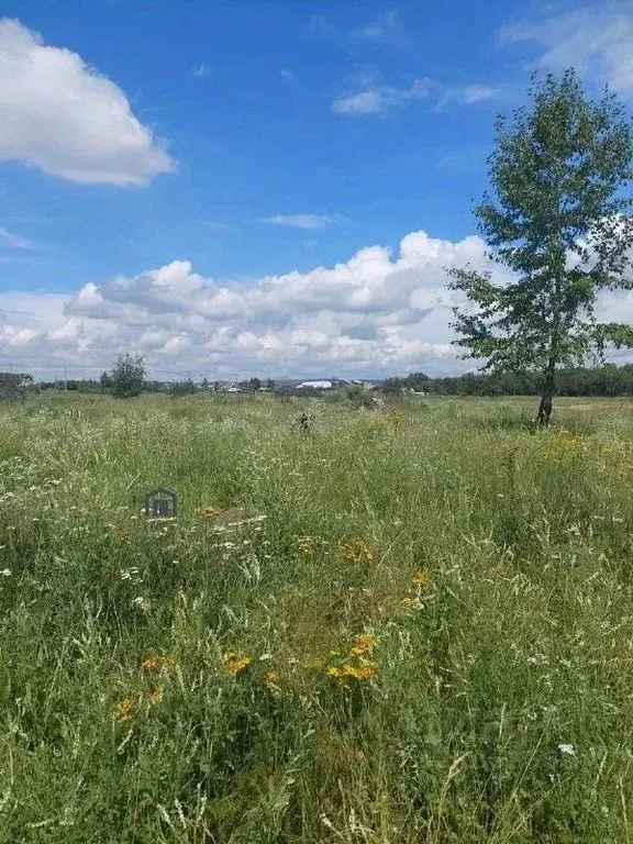 Участок в Иркутская область, Иркутск ул. Нукутская (7.0 сот.) - Фото 2