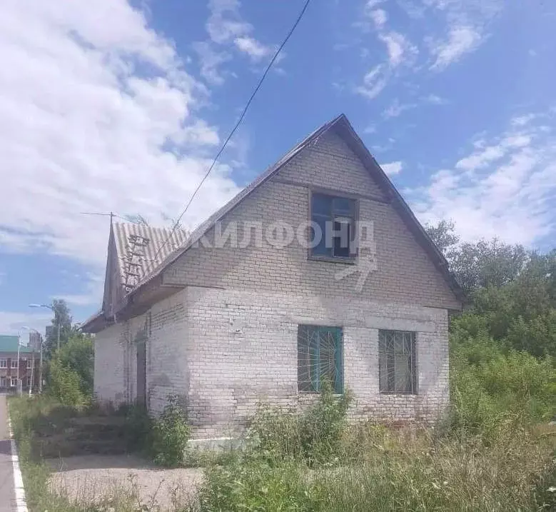 Дом в Алтайский край, Павловский район, с. Черемное Станционный пер. ... - Фото 1