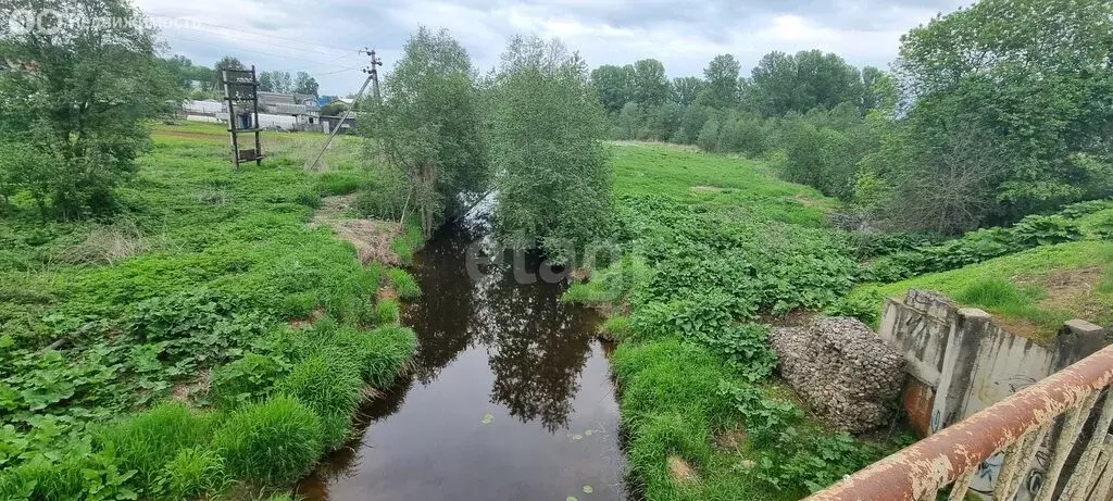 Участок в Ярославский район, Кузнечихинское сельское поселение, село ... - Фото 1